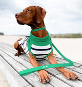 Bright Green Leather Dog Collar