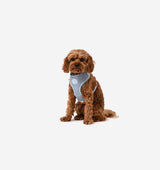 Pale Blue Dog Harness