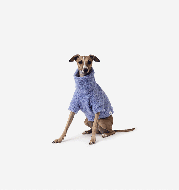 Periwinkle Teddy Jumper