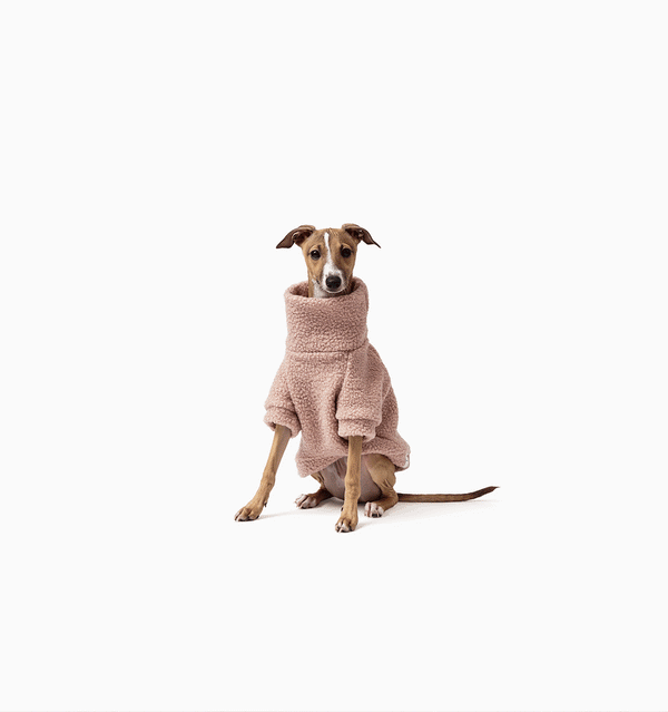 Rosie Teddy Jumper
