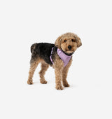 Pale Purple Dog Harness