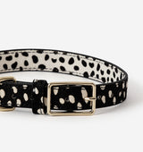 Polka Dot Leather Dog Collar