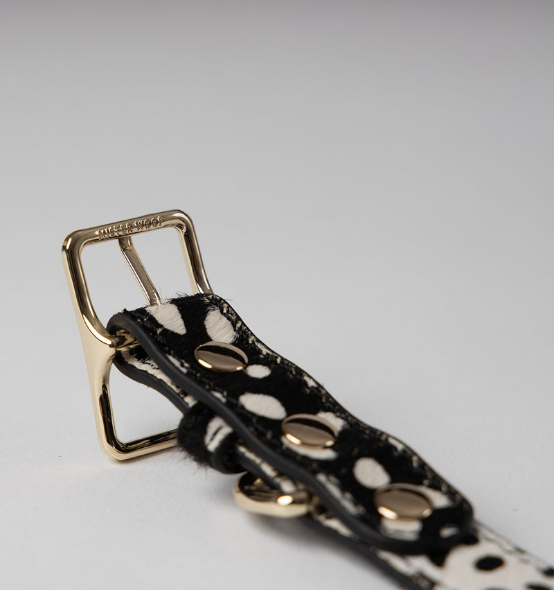 Polka Dot Leather Dog Collar