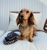 Polka Dot Leather Dog Collar