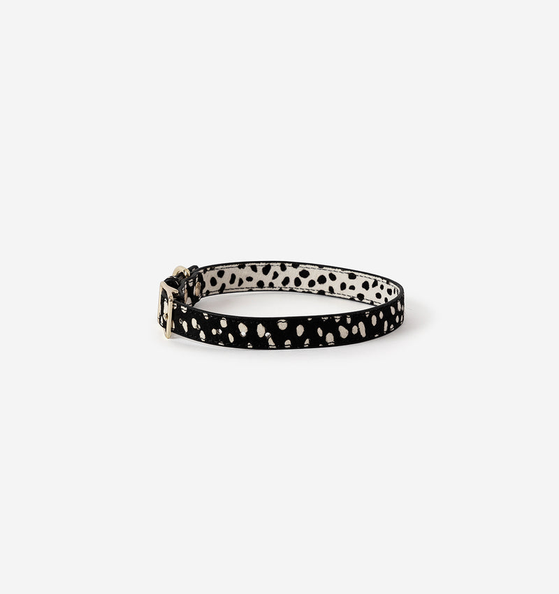 Polka Dot Leather Dog Collar