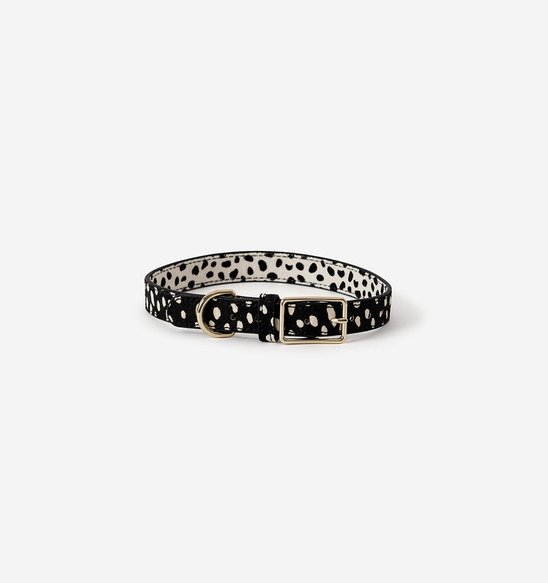 Polka Dot Leather Dog Collar