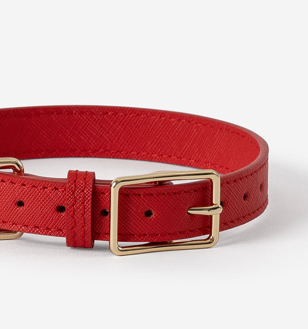 Red Leather Dog Collar