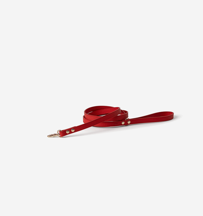 Red Leather Skinny Dog Lead