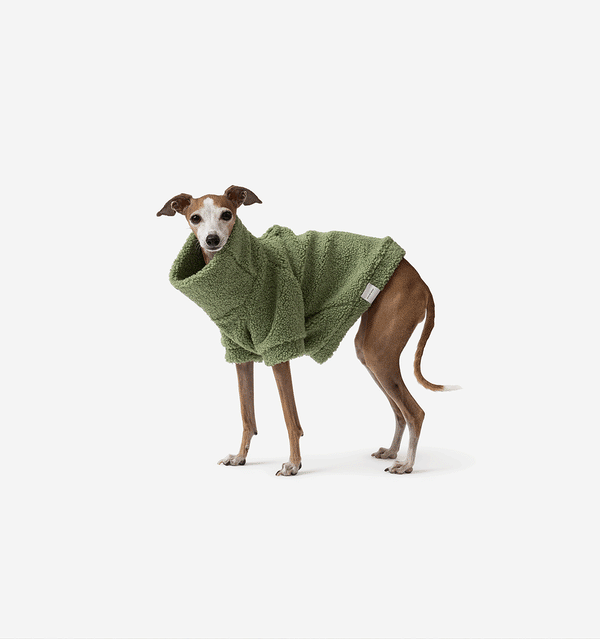 Sage Teddy Jumper