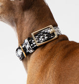 Snakeskin Print Leather Dog Collar