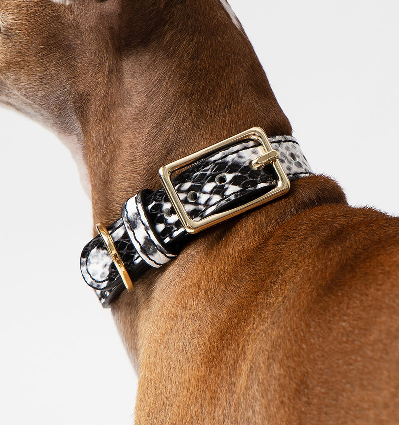 Snakeskin Print Leather Dog Collar