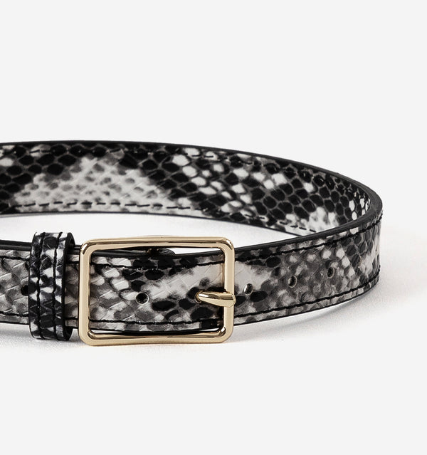 Snakeskin Print Leather Dog Collar