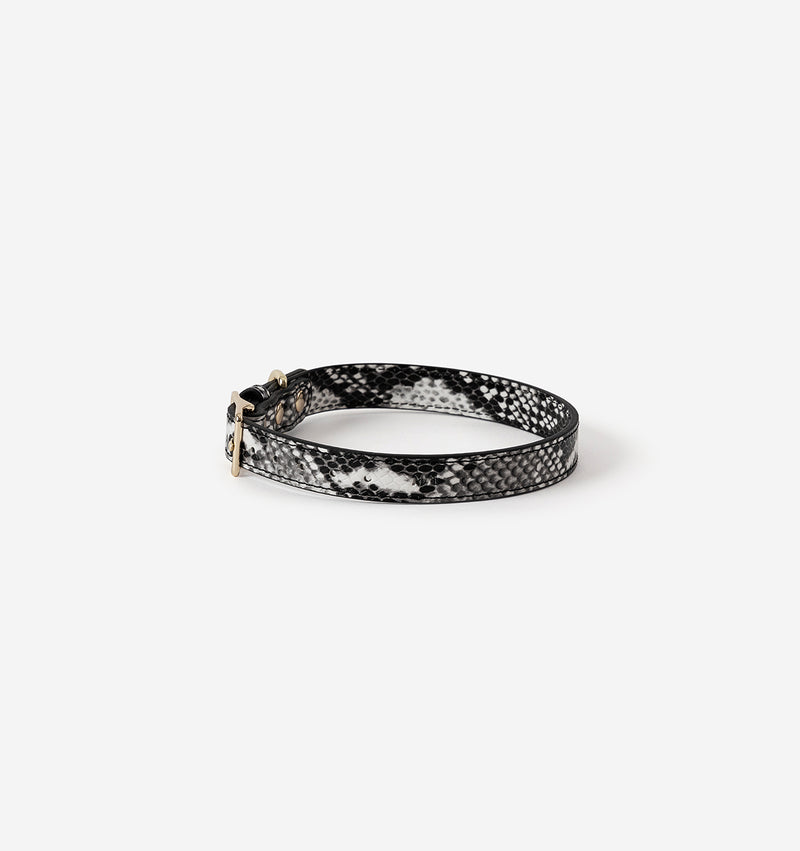 Snakeskin Print Leather Dog Collar