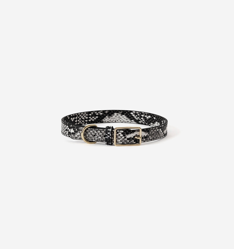 Snakeskin Print Leather Dog Collar