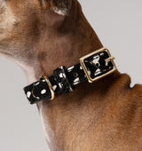 Polka Dot Leather Dog Collar