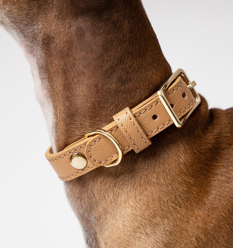 Tan Leather Dog Collar