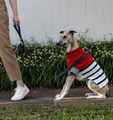 Royal Navy Leather Standard Dog Lead