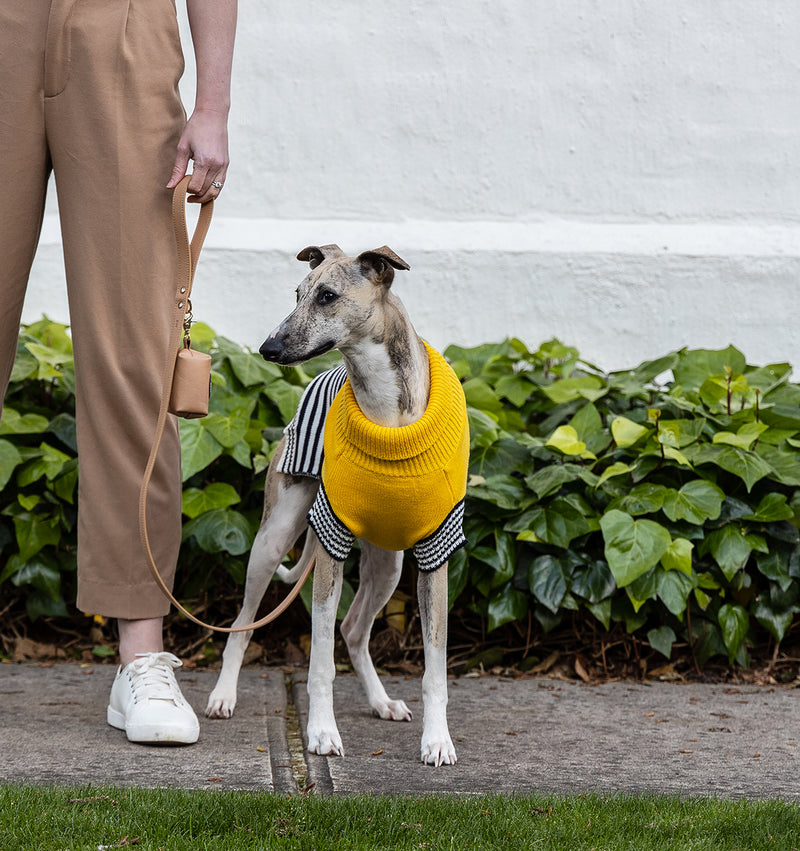 Harlow Knit